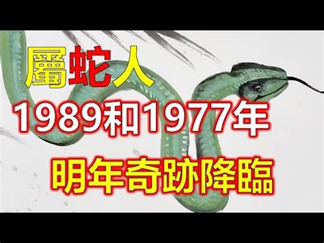 1989 屬|1989年生肖蛇的是什么命 89年的属蛇人一生命运分析